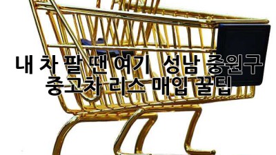 내 차 팔 땐 여기! 🚗 성남 중원구 중고차 리스 매입 꿀팁