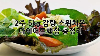 2주 5kg 감량?! 스위치온 다이어트🔥핵심 총정리